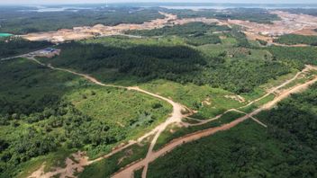 Residents Affected By The Construction Of Nusantara IKN Airport Get Growing Plant Replacement Land