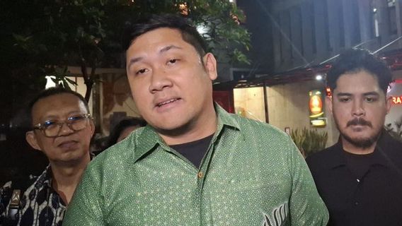 佐科威的假文凭指控案,米哈尔·西纳加被问及50个问题