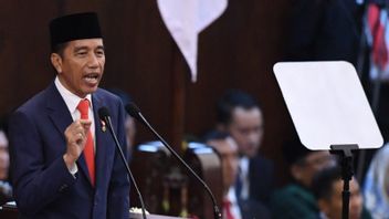 Tak Gentar Digugat Freeport, Jokowi: Hilirisasi Tak Akan Berhenti