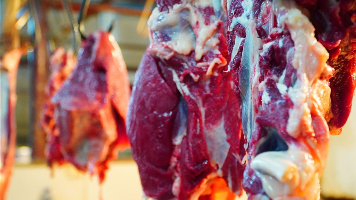 Idulfitri를 앞두고 정부는 최대 107,000 루피스 / kg의 송아지 고기 가격을 보장합니다.