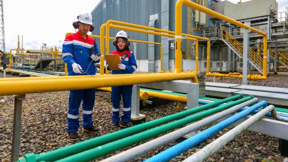 PTBA dan PGN Bakal Lakukan Studi Kelayakan untuk Proyek Gasifikasi Batu Bara jadi SNG