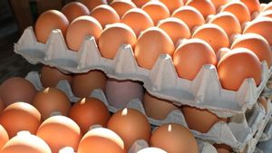 Harga Telur Ayam Naik, Mendag Lutfi Bawa Kabar Gembira: Tidak Akan Lama, Januari 2022 Turun