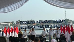 佐科威在卡拉旺为KKP的尼拉鱼种植试点公司揭幕
