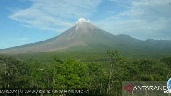 Bagaimana Aktivitas Gunung Semeru Sejak Tengah Malam Tadi?