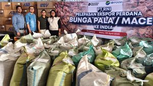 Garap Komoditas Rempah, ID FOOD Lepas Ekspor Perdana Bunga Pala ke India