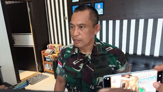 Tni : 3 membres de l'OPM abattus au sommet de Jaya-Papouasie