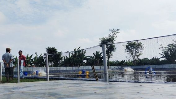 Menghadapi Ancaman El Nino, Pemprov Lampung Petakan Kawasan Perikanan untuk Pertahankan Produksi Pangan