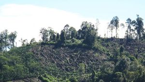 Tangani Klaim Cek Bocek, Pemkab Sumbawa Tunjukkan Cara Bijak Menyelesaikan Konflik Agraria
