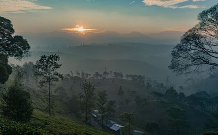 Wisata Pangalengan Bandung, Menikmati Hawa Sejuk di Perkebunan Teh dan Observatorium Bosscha