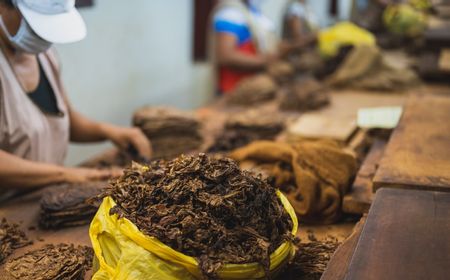 Didominasi Tenaga Kerja Perempuan, Pelaku Industri Hasil Tembakau Harapkan Perlindungan Pemerintah