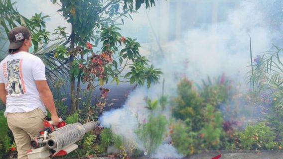 Piqués Par Le Moustique Aedes Aegypti, Sept Résidents Du Sud-est De Minahasa Ont Contracté La DENGUE