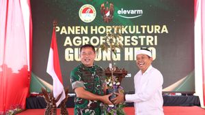 Kasad: Agroforestry Dorong Kesejahteraan Petani dan Ketahanan Pangan Nasional