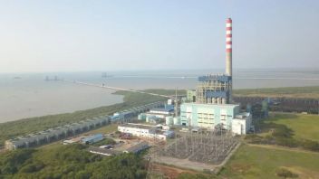 政府はPLTU Cirebon-1の早期退職をキャンセルし、より年上の代替品を探す