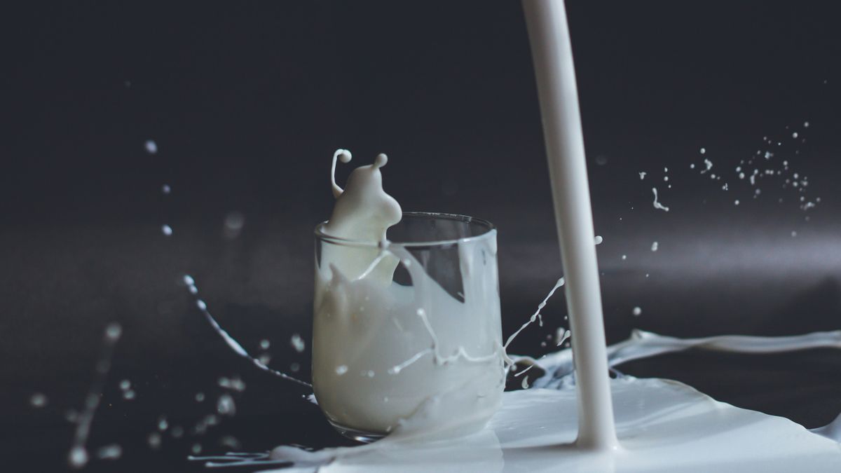 Mengungkap Sinergi Susu Kambing Etawa dan Herbal Lokal untuk Solusi Nyeri Sendi Permanen