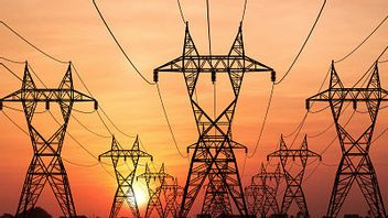 昨年、PLNは西ジャワでの電力盗難から3,500億ルピアを節約しました