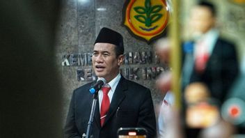 阿姆兰农业部长:如果印度尼西亚一贯建设100万公顷的沼泽土地,就可以实现粮食自给自足
