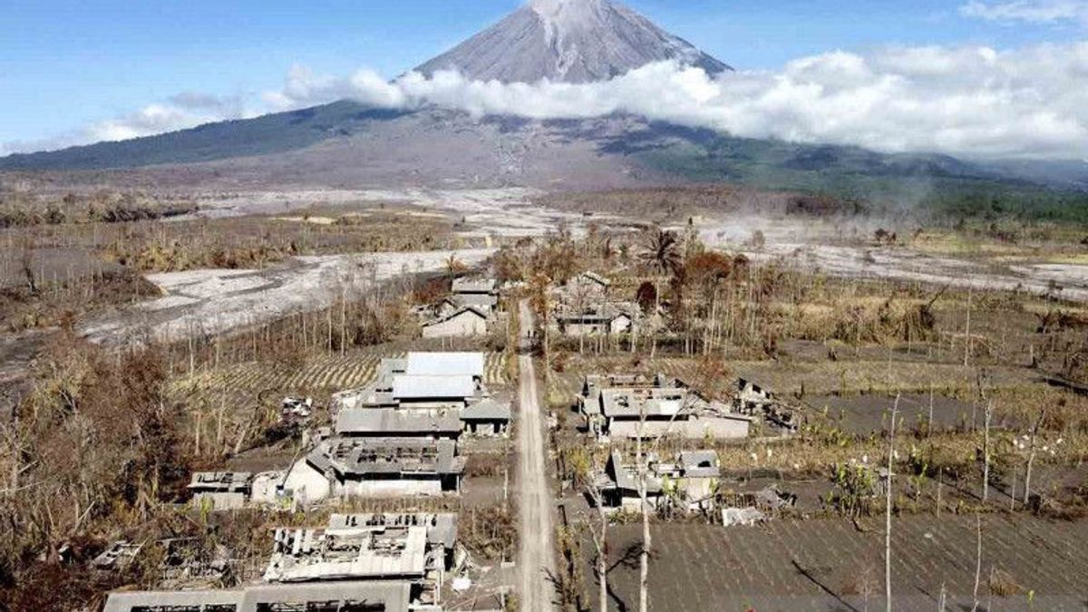 1 1月1日发现Semeru火山爆发受害者的尸体 石城居民