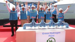 Berhasil Produksi Green Hydrogen, PLN Siapkan Stasiun Pengisian di Sejumlah Daerah