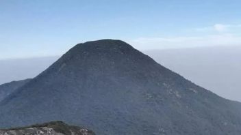 Dear Mount Children, Now Climbing Pangrango Must Register Online