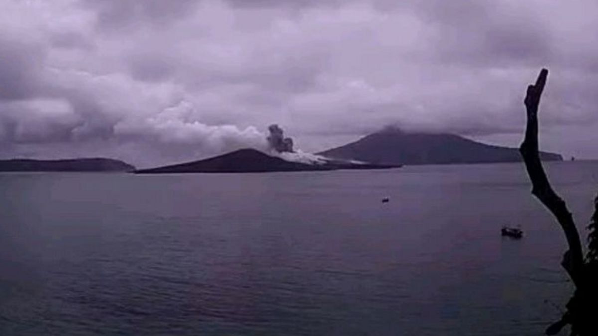 Gunung Anak Krakatau Erupsi, Lontarkan Abu Setinggi 100 Meter