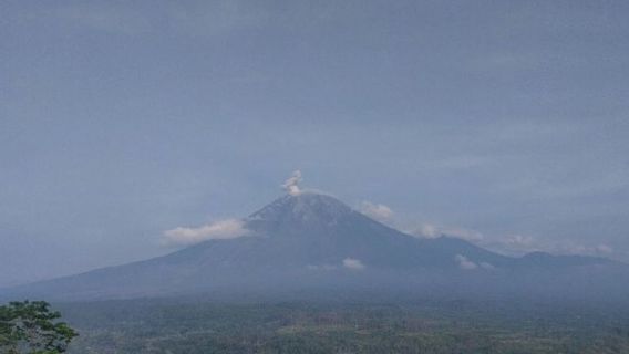 Le mont Semeru naturel 8 éruptions suivi d’éruptions allant jusqu’à 700 mètres