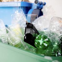 Wabah Hantavirus Diduga Bermula dari Area Tempat Pembuangan Sampah