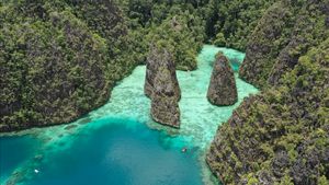 Raja Ampat Needs 107 Labuh Tambat For Karang Reef Sustainability