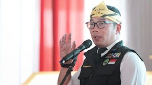 Pencalonan Ridwan Kamil di Pilgub Jakarta Disebut Airlangga Belum Final