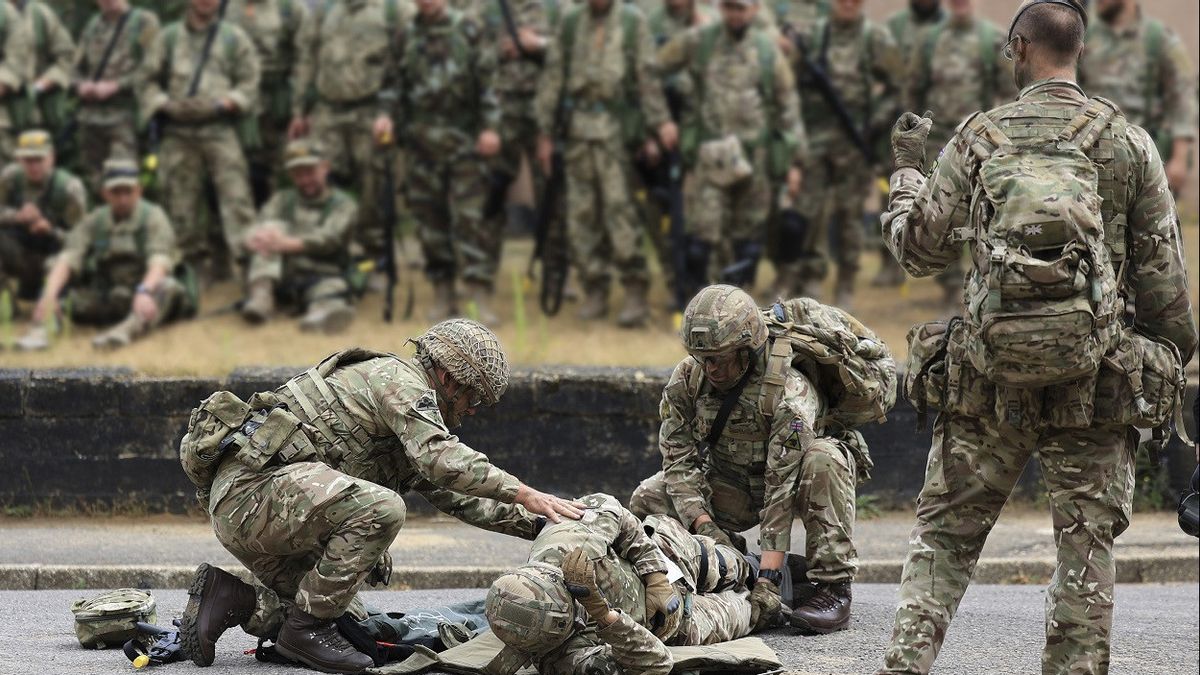 ألمانيا ستحصل على تدريب أساسي للجيش الأوكراني العام المقبل