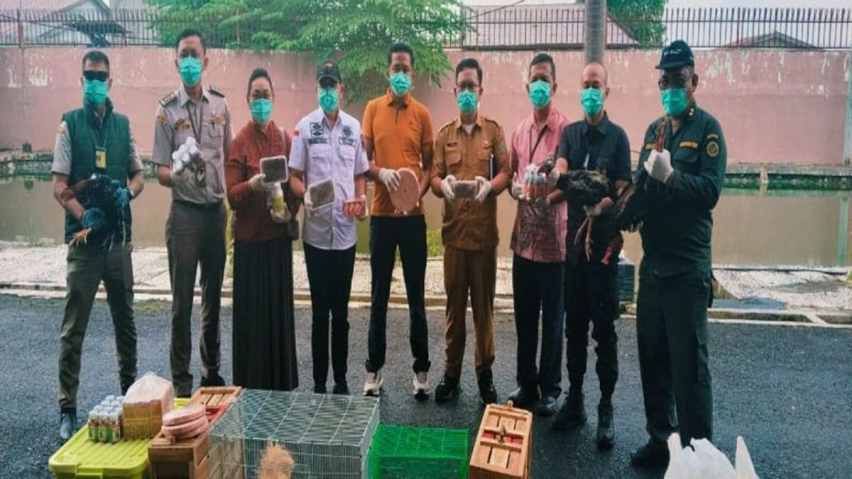 60 Hewan Tak Bersertifikat Dibawa Penumpang Pesawat Dimusnahkan Karantina Sumut