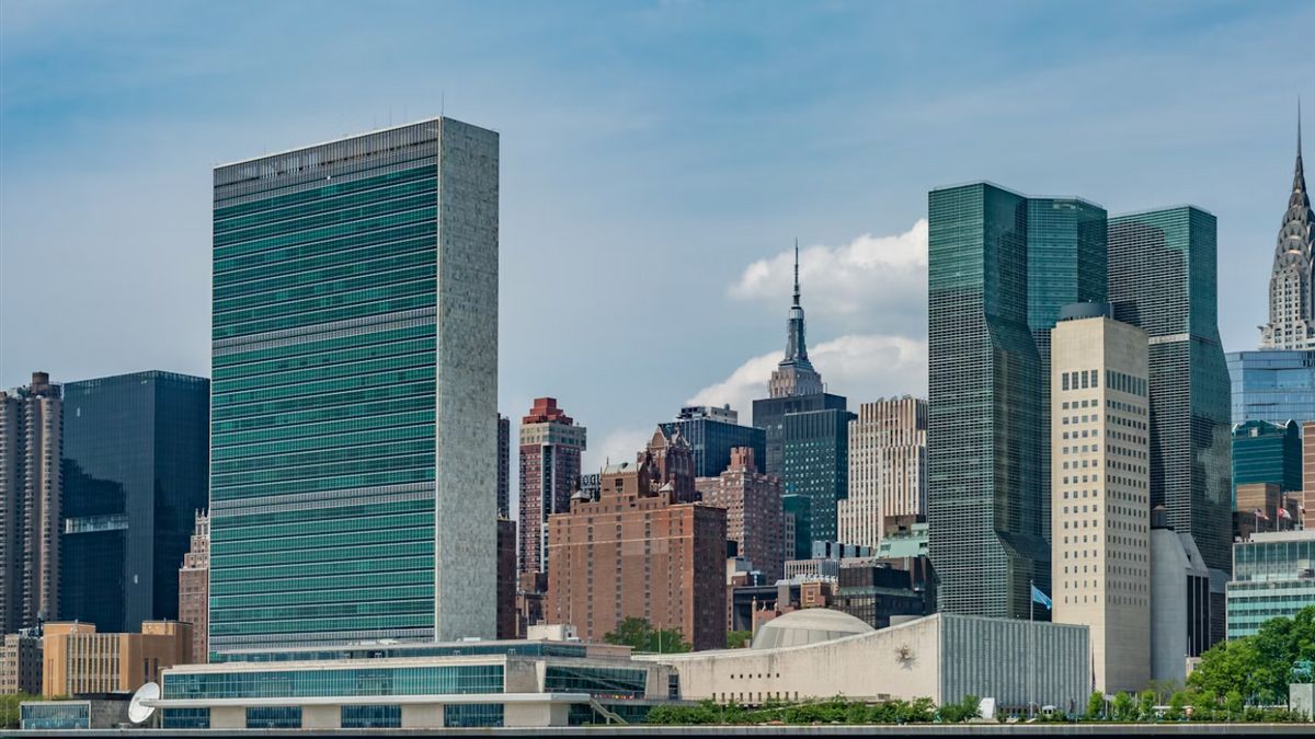 人权活动家批评美国对联合国巴勒斯坦问题专家的制裁