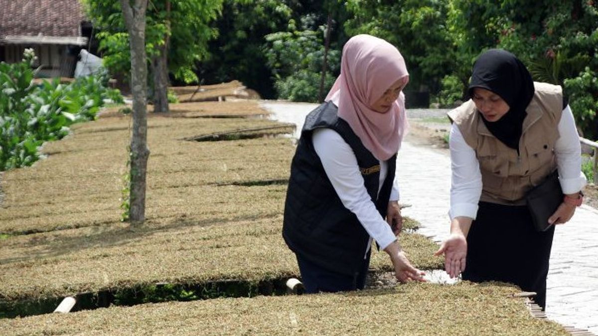 APTI Minta Presiden Prabowo Lindungi Jutaan Petani Tembakau RI