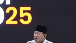Sindiran Prabowo: Komentator di Medsos Seolah Lebih Pintar dari Saya