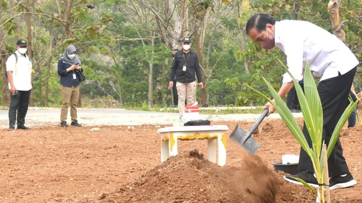 Kata Presiden Jokowi Cuma Sedikit Startup yang Fokus Urusan Pangan: Di Sini Ada Peluangnya