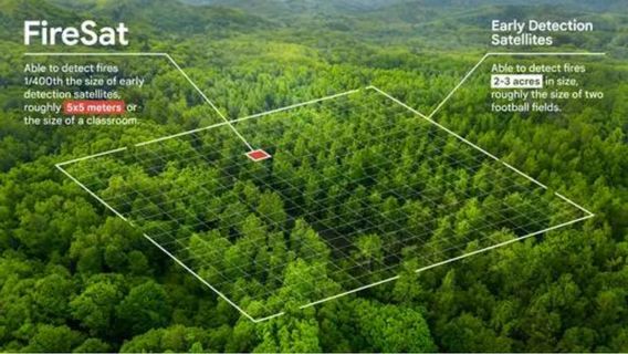 Google Research Akan Ciptakan Satelit Pendeteksi Kebakaran Hutan 