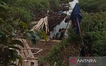 Seorang Mahasiswa Unlam Banjarmasin Diduga Hilang di Lokasi Reboisasi