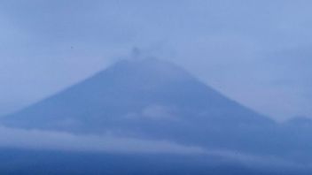 Gunung Semeru Erupsi 10 Kali di Awal Tahun 2025, Masyarakat Diminta Waspada