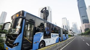 Ekonom Sebut Baru 30 Persen Kota di Pulau Jawa Menikmati Transportasi Umum Modern