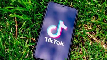 Federal Court Rejects Request For Suspension Of Ban On TikTok Applications In US