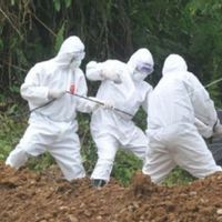 Mahfud MD Bantah Pemerintah Lambat Antisipasi Pandemi COVID-19 dalam Sejarah Hari Ini, 22 April 2020