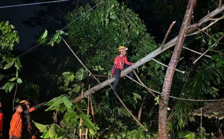 BPBD: Sepanjang Oktober Terjadi 41 Kali Bencana di Sukabumi