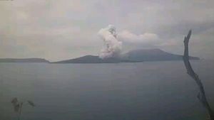 Gunung Anak Krakatau Erupsi, Abu Vulkanik Setinggi 1,5 Km