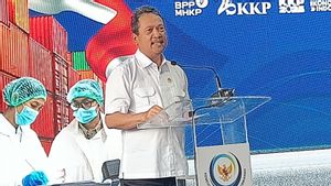 Cerita Menteri Trenggono soal Udang Terkontaminasi Cs-137: Nanti Tiga Bulan Lagi Pasti Ramai
