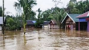 Banjir Melanda Wilayah Pedalaman Kotawarigin Timur, Begini Kondisi Terkini