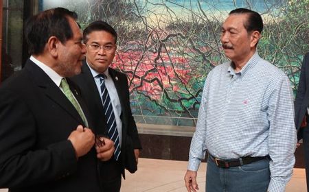 Luhut Ingatkan Investor China Supaya Jaga Lingkungan Indonesia