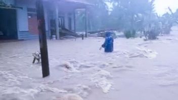 Banjir Landa 4 Desa di Natuna, BPB Kesulitan Lantaran Sinyal Komunikasi Terputus