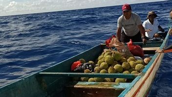 Mesin Kapal Mati, 8 Penumpang  Hanyut di Perairan Suanggi Maluku Ditemukan Selamat
