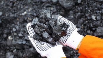 PLN Obtient L’achat De Charbon Directement Auprès Des Propriétaires De Mines, Avant Que Les Prix N’augmentent En Raison De La Forte Demande De La Chine