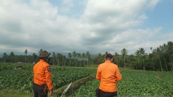 Status Gunung Raung Naik Jadi Waspada