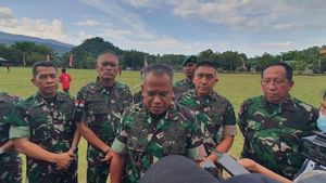 14 Personel Yonif Raider 600 Diperiksa Terkait Tewasnya Warga di Mappi Papua